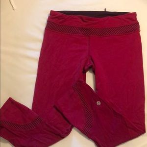 Fuschia Lulu Capris